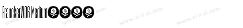 FranckerW06 Medium字体转换